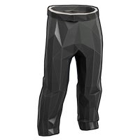Low Poly Pants