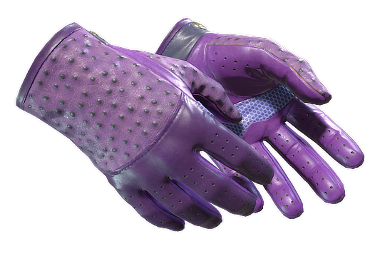 ★ Driver Gloves | Plum Quill (Minimal Wear)